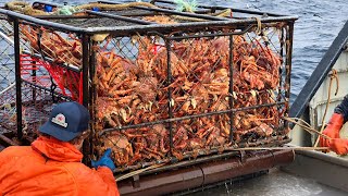 Amazing Catch Hundreds Tons Alaska King Crab With Modern Big Boat  Amazing Crab Fishing on the sea [upl. by Caneghem]