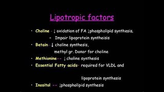 Lipotropic factors  Definition Types Mechanism of action Importance Clinical Use [upl. by Isis437]