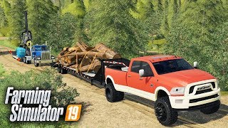 FS19 LOGGING ON quotGRIZZLY MOUNTAINquot MAP SEARCHING FOR THE BEST TIMBER  EP 1 [upl. by Kip937]