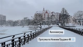 🇷🇺 Winter walk in Kaliningrad 2024 ❄️ Прогулка по Нижнему Пруду в Калининграде 4К [upl. by Athalia16]