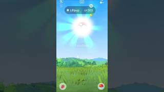 I caught shiny Pokemon while using quotDAILY INSANCEquot [upl. by Bergren48]