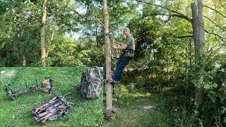 Trophyline Venatic Saddle  Onyx Platform  Shikar out on a limb sticks amp Scouting [upl. by Blackstock]