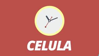 Principios para hacer su célula  G12TV [upl. by Akerahs]