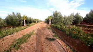 ferme et terrains agricole a fes meknes [upl. by Millar819]