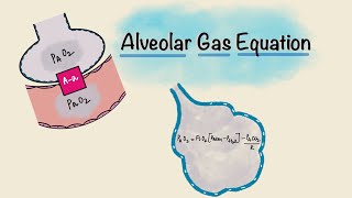 Alveolar Gas Equation  Alveolararterial Aa gradient  Respiratory Physiology [upl. by Elurd]