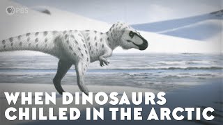 When Dinosaurs Chilled in the Arctic [upl. by Syck]