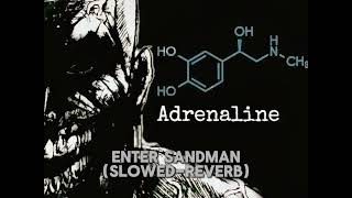 MetallicaEnter Sandman SlowedReverb [upl. by Anyl]