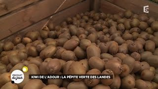 Kiwi de lAdour  la pépite verte des Landes [upl. by Brieta]