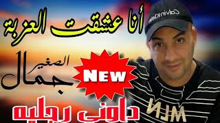 Cheb Djamel Sghir 2021 أنا عشقت العزبة [upl. by Ecertap]