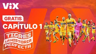 Tigres La historia perfecta  Capítulo 1 Gratis  ViX [upl. by Ahsurej]