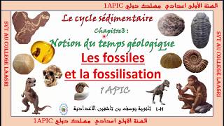 fossiles et fossilisation 1ére année du collège parcours international [upl. by Veronique]