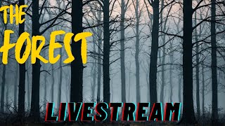 The Forest  Whats in the Caves  Livestream [upl. by Loralee216]