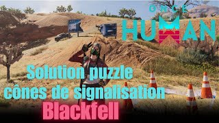 Solution puzzle cônes de signalisation  Blackfell  Once Human [upl. by Zehcnas]