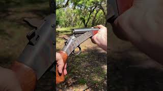 Expensive vs Cheap Shotgun Shells hunting turkey shorts tss [upl. by Ynamad885]