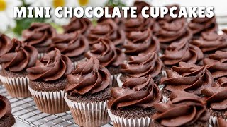 Mini Chocolate Cupcakes from Scratch [upl. by Rentschler938]