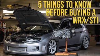 5 Things You Need to Know Before Buying a Subaru WRX or STI [upl. by Vyky]