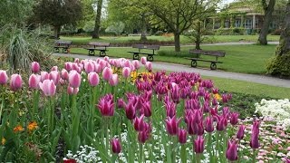 Top 15 Tourist Attractions in Harrogate  Travel England United Kingdom [upl. by Inalaek735]