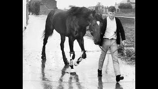 Rain Lover  Won the Melbourne Cup Twice in 196869 [upl. by Maryly]