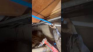 repiping a house with expansion pex [upl. by Rimat]