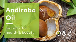 Andiroba Oil  benefits for skin hair and personal care formulations [upl. by Anaitat]