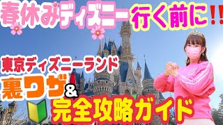 【完全攻略】ディズニーオタクが教える！東京ディズニーランドまるわかりガイド [upl. by Aylat]