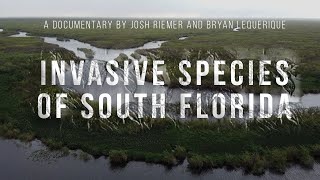 Invasive Species of South Florida  Documentary  AAHSFF 2020 Official Selection [upl. by Nalepka331]