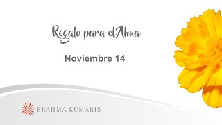 Meditación Regalo para el Alma Noviembre 14 de 2024 [upl. by Melita]