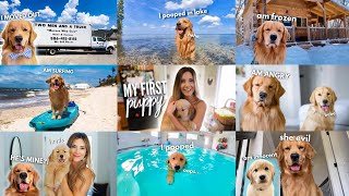 The Adventures of Tucker Budzyn Compilation [upl. by Sibyl]