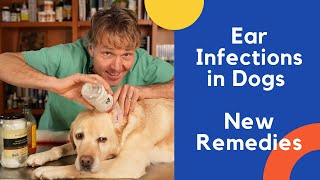 Dog Ear Infection Treated With Natural Remedies [upl. by Yssenhguahs]