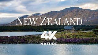 New Zealand 4K  The most beautiful scenery in New Zealand  4K Nature [upl. by Sirraf]