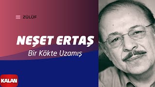 Neşet Ertaş  Bir Kökte Uzamış I Zülüf Dökülmüş Yüze © 1999 Kalan Müzik [upl. by Vallonia449]