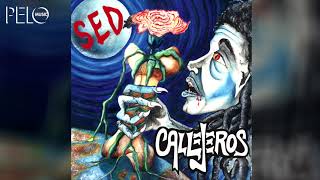 Callejeros  Sed Full Album [upl. by Ardeahp]