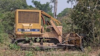 Trator De Esteira Komatsu D50A LimpezaDePasto Enleiramento MáquinasPesadas [upl. by Aznecniv]