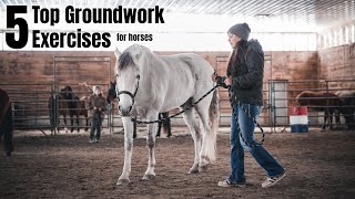 Top 5 Groundwork Exercises for Horses  Clearly Communicating [upl. by Tamaru]