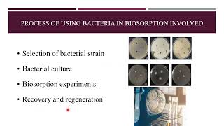 BioremediationBiosorption by BacteriaFor BS and MSc class PPSC FPSC SPSCKPSC BPSC [upl. by Sylvanus650]