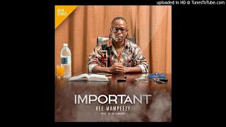 VEE MAMPEEZY  IMPORTANT  prod by Dr Tawanda [upl. by Annissa408]