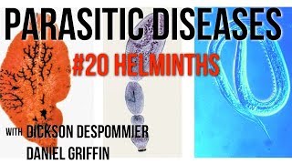 Parasitic Diseases Lectures 20 Helminths [upl. by Ellerred990]