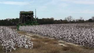 JOHN DEERE 7760 COTTON PICKER [upl. by Behrens191]