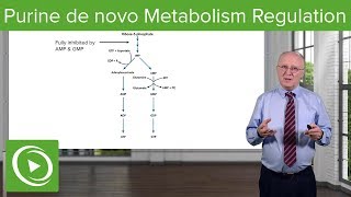 Purine de novo Metabolism Regulation – Biochemistry  Lecturio [upl. by Aterg]