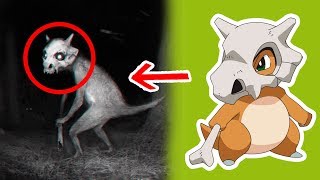 5 Pokémons Captados en Cámara en la Vida Real [upl. by Esinyt739]