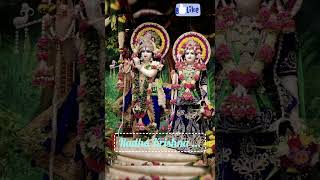 Radha Krishna devotional 🙏🙏 [upl. by Arras]