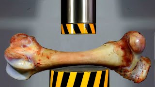 HYDRAULIC PRESS VS LARGE BONE [upl. by Auerbach183]