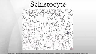 Schistocyte [upl. by Adaline506]