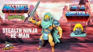 MOTU Origins Turtles of Grayskull STEALTH NINJA HEMAN Figure Review [upl. by Eillil138]