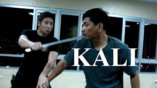 KALI  ARNIS  ESKRIMA  FILIPINO MARTIAL ARTS [upl. by Lissner]