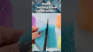 😠 Arguing with Alexa 💥💥 Slime Storytime shorts [upl. by Eentihw]