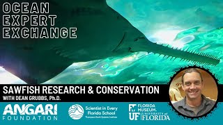 Ocean Expert Exchange  Sawfish Research amp Conservation [upl. by Hareenum]