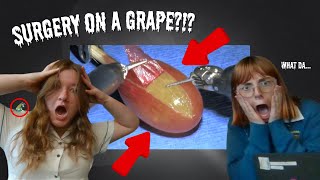 THEY DID SURGERY ON A GRAPE WARNING  CRAY CRAY [upl. by Stasny]