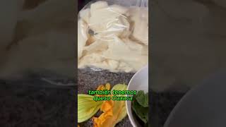 Receta Exprés Quesadillas de Flor de Calabaza 🌼✨ [upl. by Namzaj]