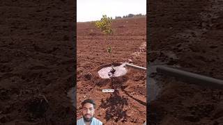 Drip irrigation system keşfet kesfet automobile çeşitler keşfetbeniöneçıkar satisfying trend [upl. by Anirrak]